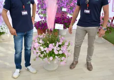 Jaco Bonagure en Claudio Vazzola van Padana met de Top Tunia Candy. Deze werd tijdens de FlowerTrials dit jaar geïntroduceerd.